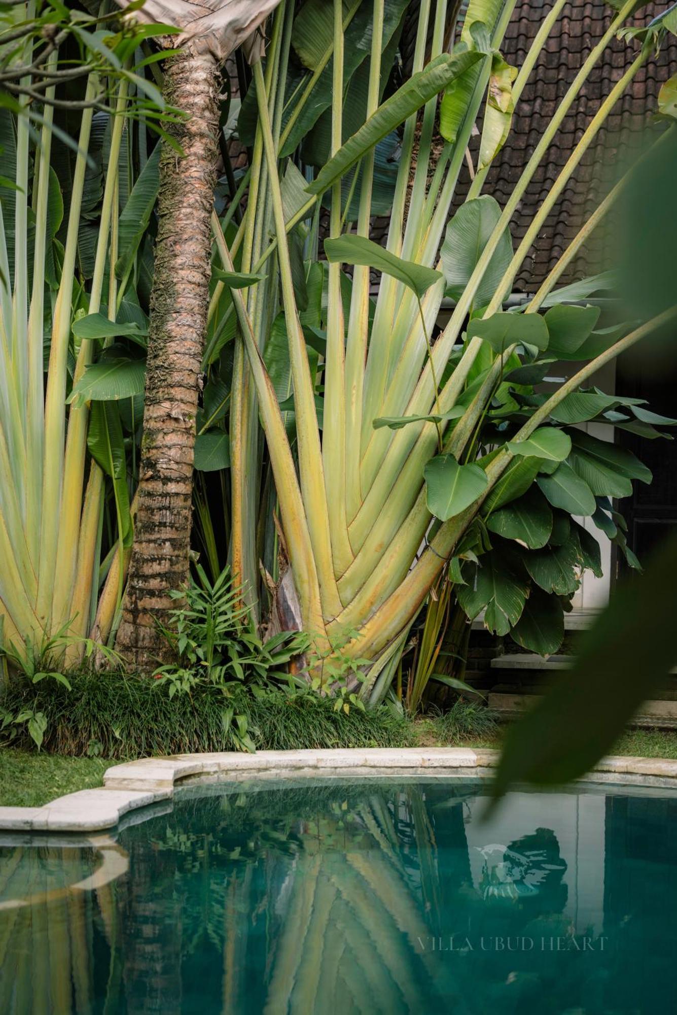 Villa Ubud Heart ภายนอก รูปภาพ